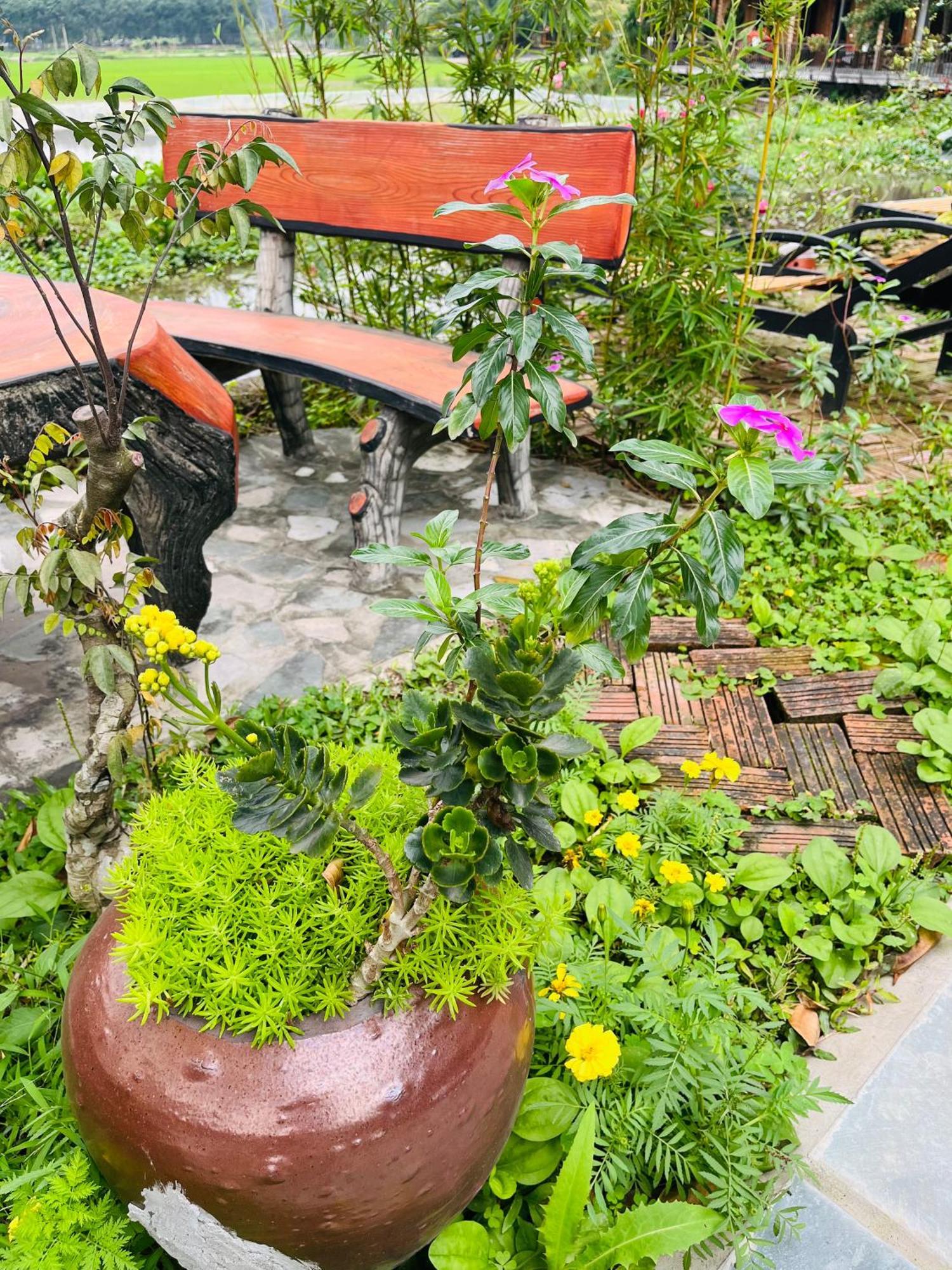 Tam Coc Mr Loa Homestay Ninh Binh Exterior photo