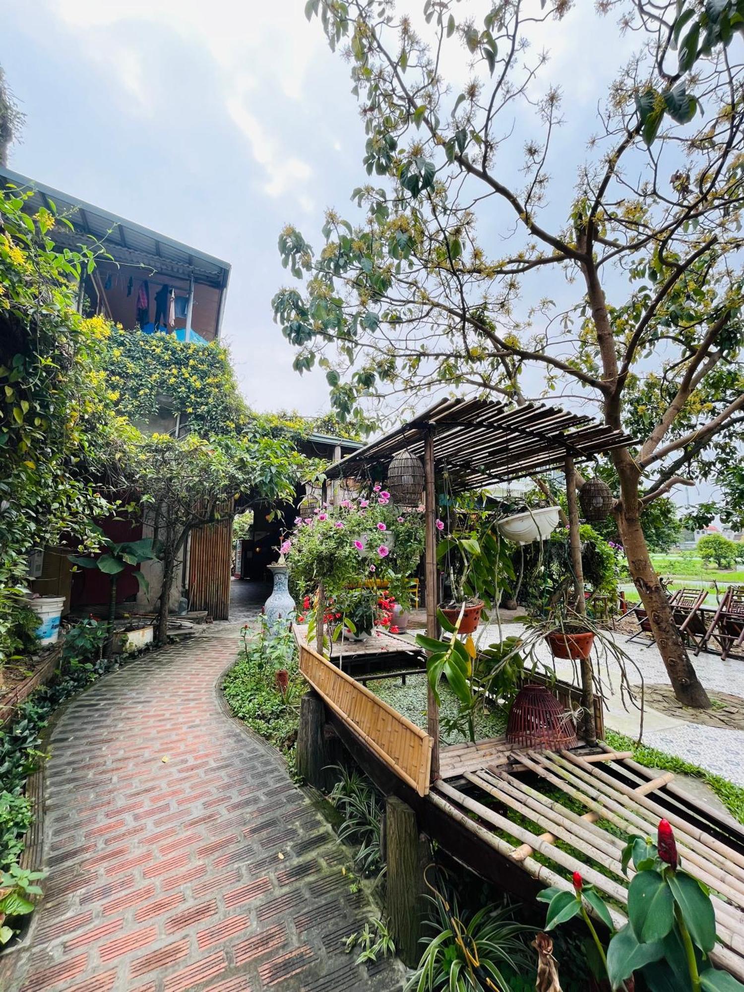 Tam Coc Mr Loa Homestay Ninh Binh Exterior photo